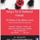 Business 1 image HOLLY'S FUR & FEATHERED FRIENDS Pet Sitters in Athy KE