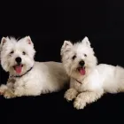 Business 1 image KINANE STUDIO - PHOTOGRAPHER & PHOTO RESTORATION Shopping in Dublin IE


