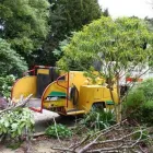 Business 2 image KING TREE SERVICES LTD Tree Work & Forestry Services in Enniskerry WW
