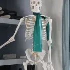 Business 2 image LIVE & BREATHE PILATES Sports & Recreation in Dublin IE


