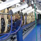 Business 2 image MARRON FARM SERVICES LTD Industries & Agriculture in Carrickmacross MN