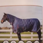 Business 9 image MCGRATHS SADDLERY Shopping in Ennis CE