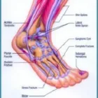 Business 3 image MIRIAM HEFFERNAN CHIROPODIST/PODIATRIST Holistic Medicine Practitioners in Coolock D
