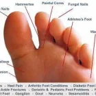 Business 5 image MIRIAM HEFFERNAN CHIROPODIST/PODIATRIST Holistic Medicine Practitioners in Coolock D