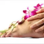 Business 6 image MIRIAM HEFFERNAN CHIROPODIST/PODIATRIST Holistic Medicine Practitioners in Coolock D