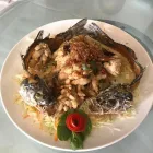 Business 6 image MR DINH RESTAURANT Thai Restaurants in Dublin IE


