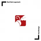 Business 4 image PEARDESIGN Web Design in Dublin IE


