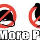 Business 1 image PESTPLUS Pest & Animal Control in Dublin IE


