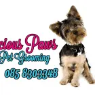 Business 1 image PRECIOUS PAWS PET GROOMING Pet Grooming Services in Athy KE
