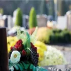 Business 4 image RAMON MASSEY & SON Travel & Tourism in Drimnagh D
