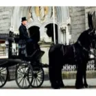 Business 5 image RAMON MASSEY & SON Travel & Tourism in Drimnagh D