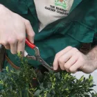 Business 1 image REMODELLING LANDSCAPES Landscape Gardeners & Contractors in Dublin D