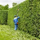 Business 4 image SCANLON TREE SERVICES Tree Work & Forestry Services in Wicklow WW