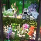 Business 1 image SHAUNA'S PET SHOP Shopping in Dublin IE


