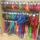 Business 4 image SHAUNA'S PET SHOP Shopping in Dublin IE


