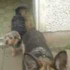 Business 1 image SLIGO CARPET CENTRE LTD, SLIGO Shopping in Sligo SO