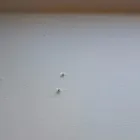 Business 2 image SNAG LIST DUBLIN.IE Surveyors in Dublin IE


