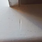 Business 3 image SNAG LIST DUBLIN.IE Surveyors in Dublin IE


