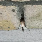 Business 7 image SNAG LIST DUBLIN.IE Surveyors in Dublin IE


