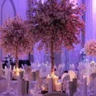 Business 4 image STUDIO1 DESIGNHAUS Party & Event Planners & Organisers in Dublin IE


