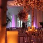 Business 5 image STUDIO1 DESIGNHAUS Party & Event Planners & Organisers in Dublin IE


