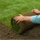 Business 2 image THE LAWN TURF FARM Turf & Lawn Suppliers in Enniskerry WW