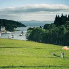 Business 6 image THE LODGE AT ASHFORD CASTLE Travel & Tourism in Cong G