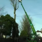 Business 1 image VAUGHAN TREE CARE Tree Work & Forestry Services in Clara OY