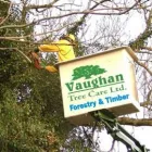 Business 4 image VAUGHAN TREE CARE Tree Work & Forestry Services in Clara OY
