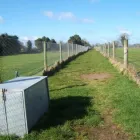 Business 6 image VIGOROUS BOARDING KENNELS Dog Breeders in Cashel TA