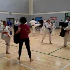 Business 1 image WASHI DO KARATE Sports Clubs in Dublin IE


