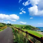 Business 2 image WATERFORD GREENWAY CYCLE TOURS & BIKE HIRE Tours in Dungarvan WD