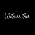 Business 1 image WITNESS THIS Orchestras, Symphonies & Bands in Athlone RN