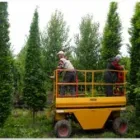 Business 1 image WOODSTOCK TREES & SHRUBS LTD Tree Work & Forestry Services in Carbury KE