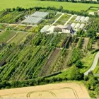Business 5 image WOODSTOCK TREES & SHRUBS LTD Tree Work & Forestry Services in Carbury KE