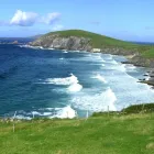 Business 1 image YOUR DAYS OUT Travel & Tourism in Dublin IE


