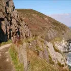 Business 3 image YOUR DAYS OUT Travel & Tourism in Dublin IE


