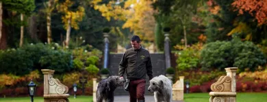 Business 3 image ASHFORD CASTLE Travel & Tourism in Cong G