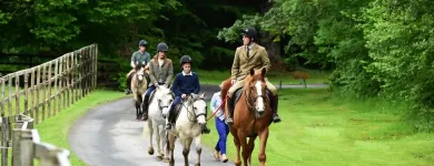 Business 12 image ASHFORD CASTLE Travel & Tourism in Cong G