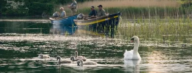 Business 19 image ASHFORD CASTLE Travel & Tourism in Cong G