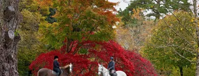 Business 20 image ASHFORD CASTLE Travel & Tourism in Cong G