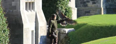 Business 35 image ASHFORD CASTLE Travel & Tourism in Cong G