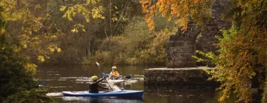 Business 42 image ASHFORD CASTLE Travel & Tourism in Cong G