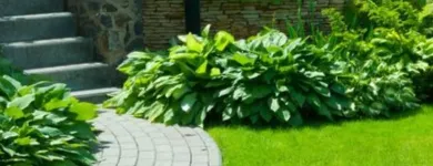 Business 2 image ASHWOOD TREE SERVICES Tree Work & Forestry Services in Dublin IE


