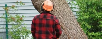 Business 3 image ASHWOOD TREE SERVICES Tree Work & Forestry Services in Dublin IE


