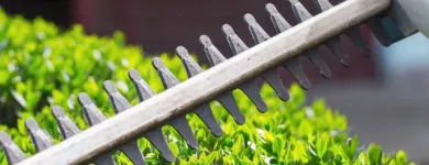 Business 4 image ASHWOOD TREE SERVICES Tree Work & Forestry Services in Dublin IE


