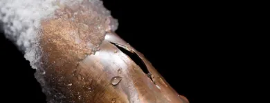 Business 3 image CITY PLUMBERS DUBLIN Real Estate & Home Improvement in Dublin IE


