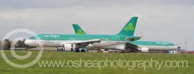 Business 7 image DAVID O'SHEA PHOTOGRAPHY Photographers in Dublin D