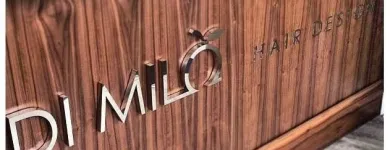 Business 1 image DI MILO HAIR DESIGN Hairdressers & Hairstylists in Dublin IE


