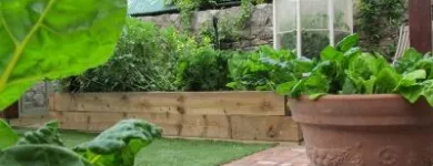 Business 2 image ELMA FENTON GARDEN ARCHITECTURE Real Estate & Home Improvement in Dublin IE


